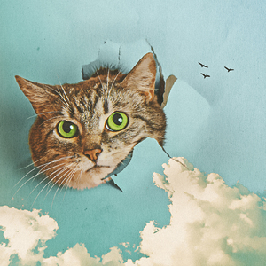 西西大胆444www高清
